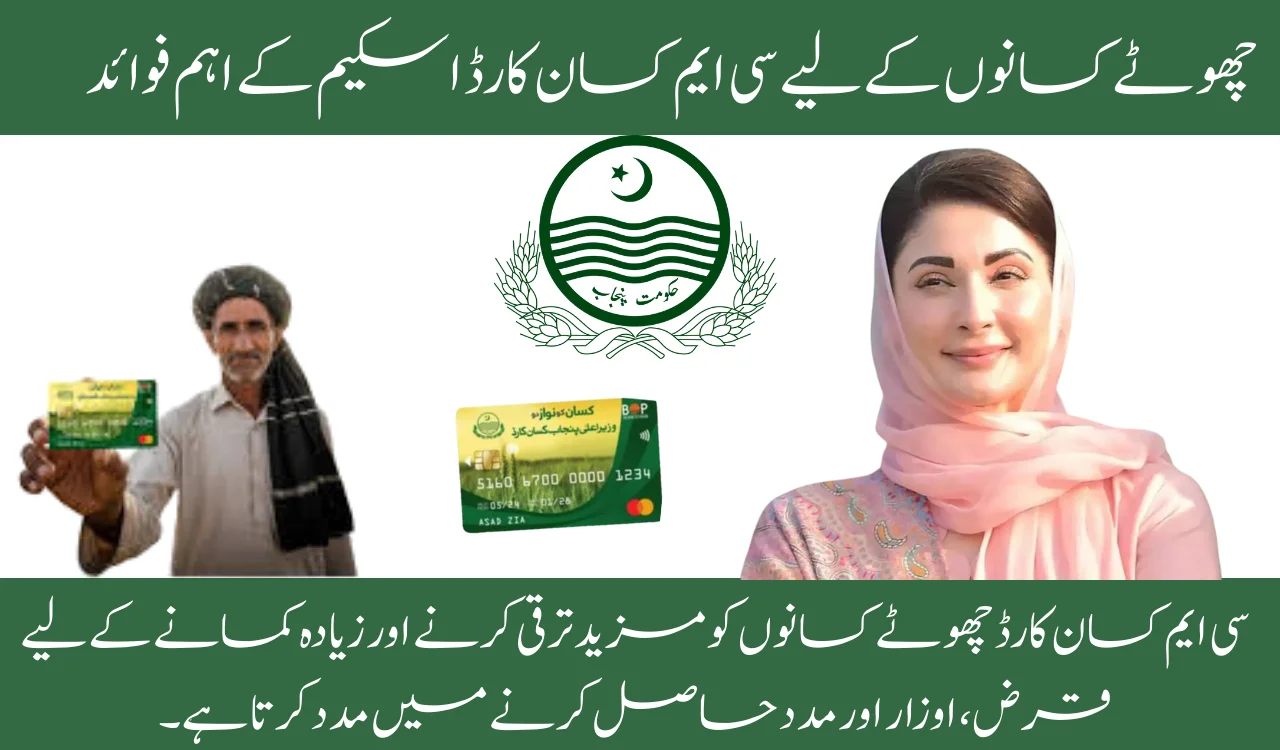 Top Benefits of the CM Kisan Card Scheme for Small Farmers