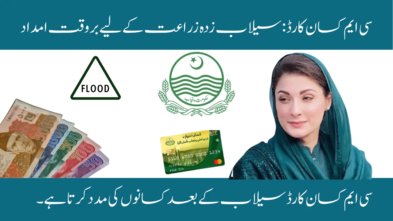 CM Kisan Card: Timely Aid For Flood_Stricken Agriculture