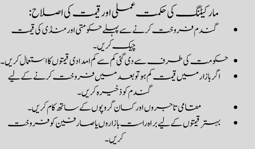 Maximize Profits with Grow More Wheat Program Subsidies