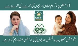 Aghosh Program: A Guarantee for Mother and Child’s Health