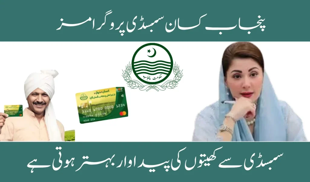 Punjab Farmer Subsidy Programs: Overview and Benefits