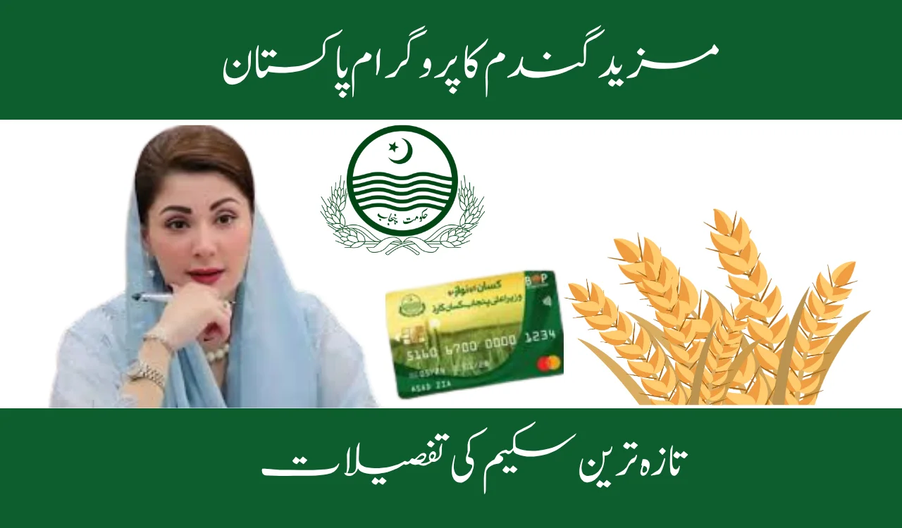 Grow More Wheat Program Pakistan: Latest Scheme Details