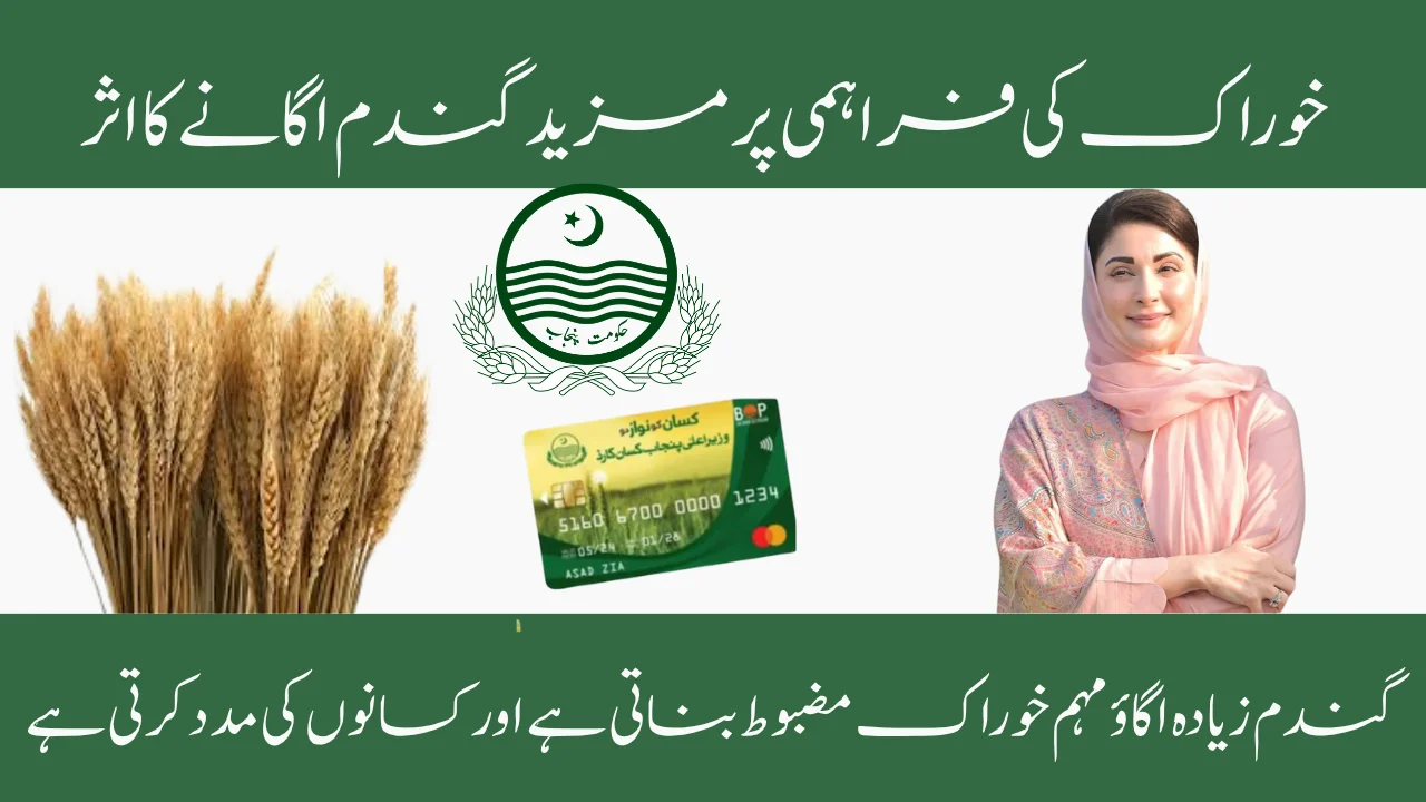 Impact of Grow More Wheat on Food Supply
