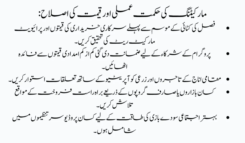 From Rent to Ownership - Apni Zameen Apna Ghar Scheme