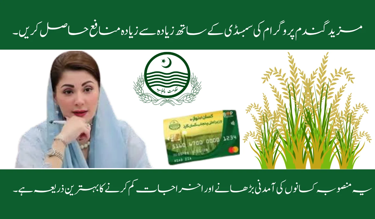 Maximize Profits with Grow More Wheat Program Subsidies