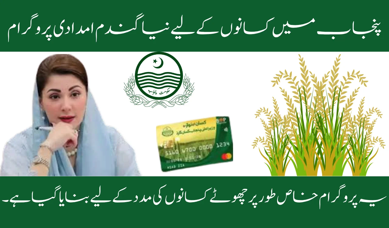 Grow More Wheat Program Punjab: Latest Updates & Features