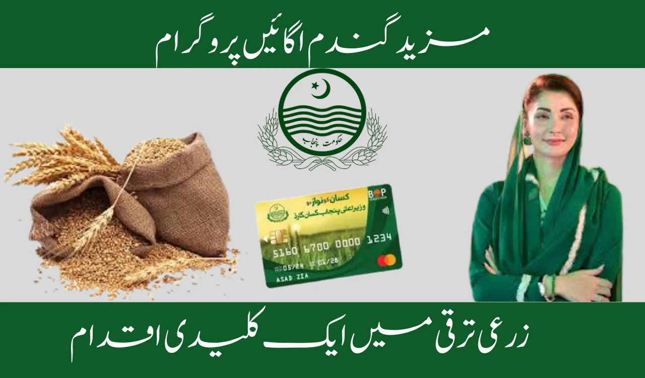 Grow More Wheat Program A Key Initiative in Agricultural Development