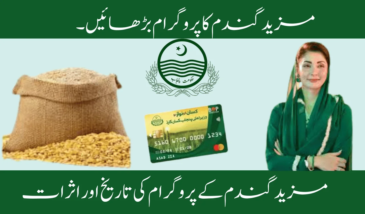 History and Impact of the Grow More Wheat Program