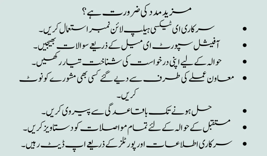 How to Check Your E-Taxi Status Online in Pakistan