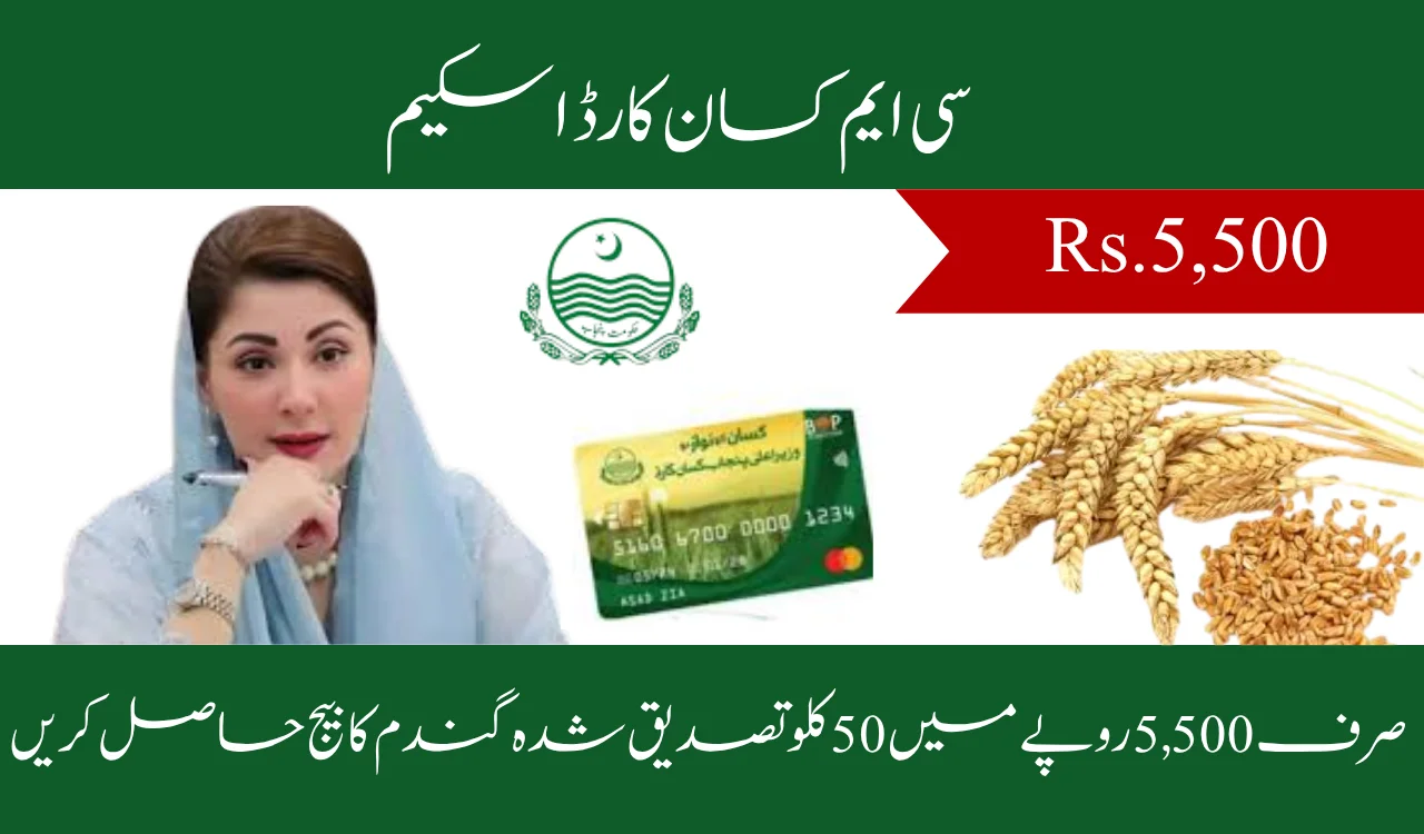 50 KG Certified Wheat Seed – Only Rs. 5,500!