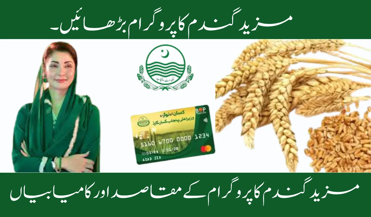 Objectives and Achievements of the Grow More Wheat Program